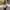 Hermes Streetwear Luxury Tote bag Wanita white photo 4