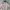 Streetwear Varsity jacket Pria cream photo 1