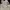Stussy Vintage Streetwear Hat Pria tan photo 4