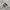 Japanese brand Vintage Streetwear Jeans Pria gray photo 2