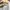 Carhartt Y2K Casual Casual shirt Pria white photo 2