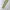 Dickies Streetwear Casual Casual pants Pria khaki tan photo 4