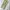 Dickies Streetwear Y2K Casual pants Pria khaki tan photo 3