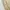 Dickies Streetwear Y2K Casual pants Pria khaki tan photo 7