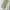 Dickies Streetwear Y2K Casual pants Pria khaki tan photo 2