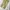 Dickies Vintage Y2K Casual pants Pria khaki tan photo 3