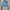 Y2K Sportswear Crop Top Wanita Blue