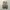 Salomon Sportswear Sneakers Pria brown photo 5