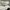 Salomon Sportswear Sneakers Pria white black photo 2