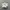 New Balance Sportswear Sneakers Wanita white photo 1