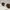 Vintage Sunglass Pria gold brown photo 7