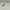 Vintage Sunglass Pria silver blue photo 6