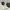 Vintage Sunglass Pria gold brown photo 7