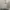 Feltics Casual Sweater Pria gray photo 1