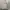 Feltics Casual Sweater Pria Gray