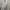 Feltics Casual Sweater Pria gray photo 6