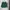 New Balance Streetwear Pria green photo 1