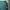 New Balance Streetwear Pria green photo 3