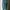 New Balance Streetwear Pria green photo 2