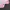 Japanese brand Y2K Casual Wanita pink photo 3