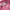 Japanese brand Y2K Casual Wanita pink photo 6