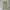 Dickies Streetwear Casual Formal pants Pria khaki photo 3