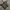 Nike Casual Bomber jacket Pria gray photo 8