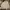 Goth Casual Trench Coat Wanita Tan