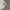 Gorpcore Casual Windbreaker Pria cream photo 3