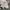 Gorpcore Casual Windbreaker Pria cream photo 4