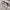 Gorpcore Casual Windbreaker Pria cream photo 5