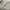 Gorpcore Casual Windbreaker Pria cream photo 6