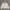 Gorpcore Casual Windbreaker Pria Cream