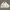 Gorpcore Casual Windbreaker Pria cream photo 2