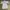 Yonex Sportswear Casual Jersey Pria white photo 5