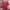 Umbro Sportswear Jersey Pria red photo 1