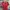 Umbro Sportswear Jersey Pria Red