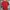 Umbro Sportswear Jersey Pria red photo 4