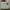 Coach Casual Handbag Wanita green white photo 3