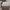 Coach Casual Handbag Wanita green white photo 1