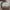 Coach Casual Handbag Wanita Green White
