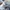 New Balance Streetwear Sportswear Sneakers Pria white photo 4