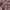 Takeo Kikuchi Y2K Casual Casual shirt Pria multicolor photo 3