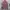 291295=HOMME Y2K Casual Casual shirt Pria multicolor photo 4