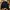 GAP Y2K Emo Track jacket Pria black photo 3