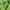 Polo Ralph Lauren Casual Polo shirt Pria green photo 3