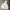 Japanese brand Y2K Gorpcore Puffer jacket Pria cream photo 2