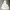 Japanese brand Y2K Gorpcore Puffer jacket Pria cream photo 1