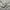 Bershka Streetwear Y2K Denim jacket Pria multicolor photo 4
