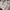 Bershka Streetwear Y2K Denim jacket Pria multicolor photo 7